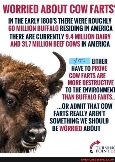 WORRIED COW FARTS IN THE EARLY 1800'S THERE WERE ROUGHLY 60 MILLION BUFFALO RESIDING IN