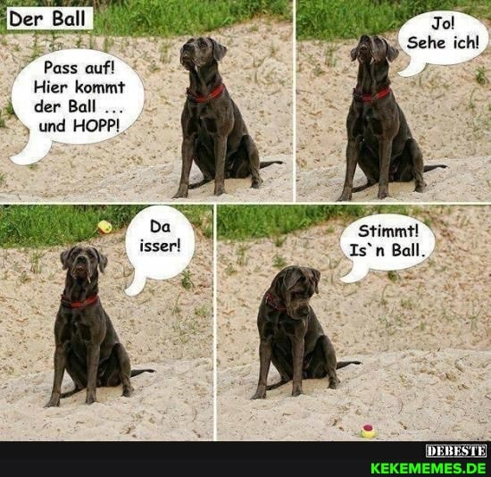 Pass aufl
Hier kommt
4 der Ball und HOPPI
Sehe
Stimmt!
Is'n Ball