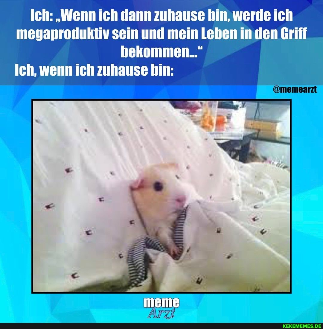 Ich: "Wenn ich dann zuhause bin, werde ich megaproduktiv sein und mein Loben in den Griff bekommen..."
@memearzi
Ich, wenn ich zuhause bin: