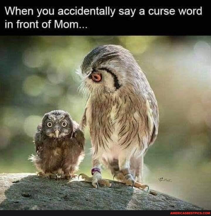 When you accidentally say a curse word in front of Mom...