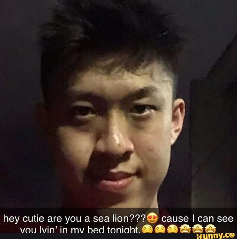 hey cutie are you a sea cause I can see