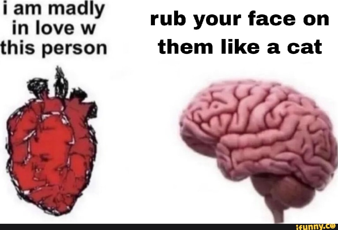 Iam madly in love rub your face on this person them like a cat - iFunny, image size:1080x737