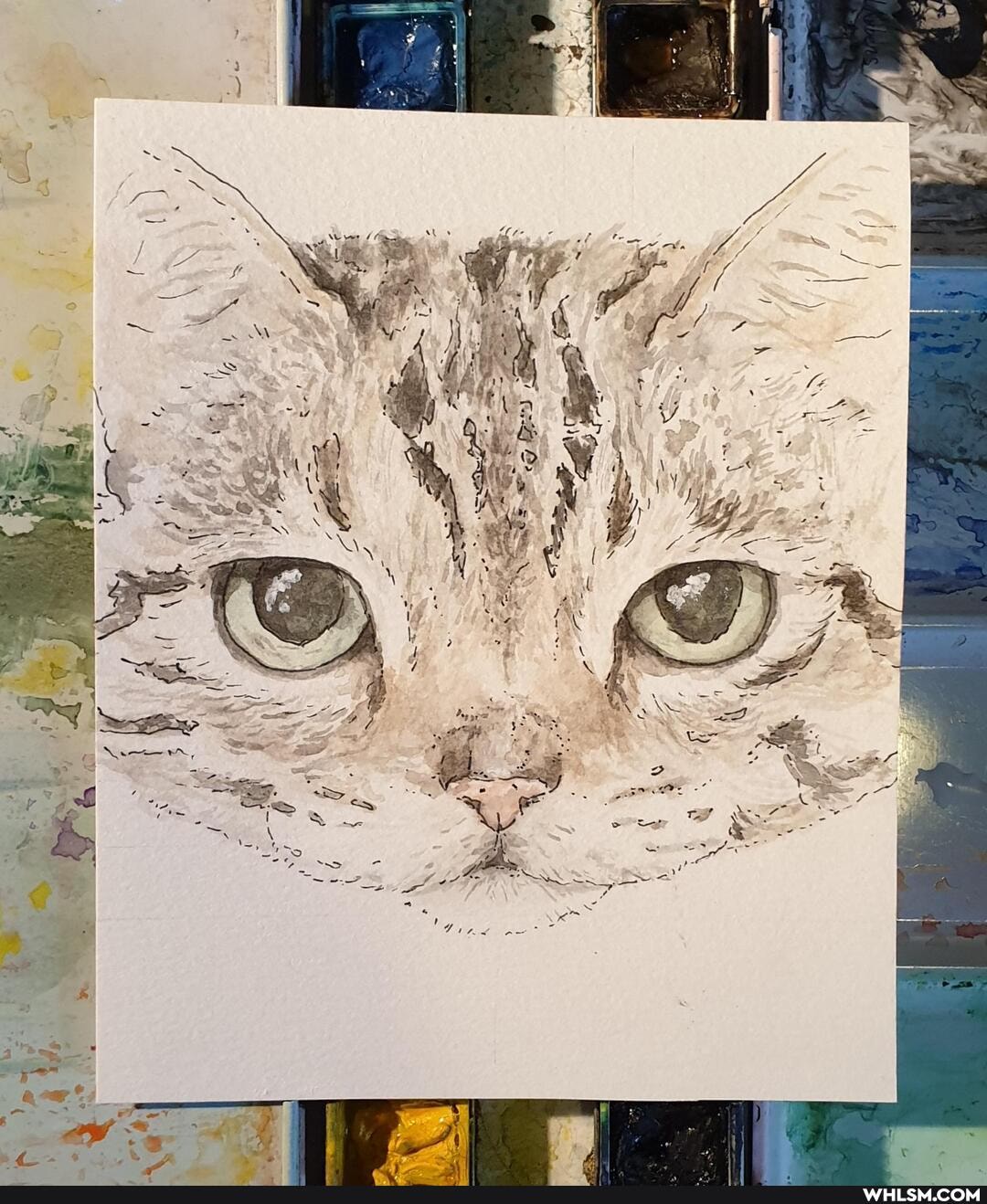 art, pets, painting, creations