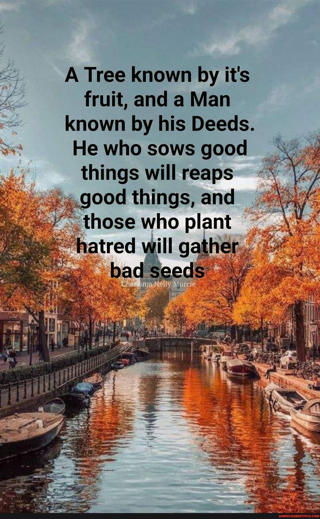 A Tree known by it's
fruit, and a Man
known by his Deeds.
He who sows good
things will reaps
.good things, and
those who plant
hatred will gather
bad seeds