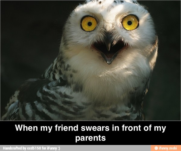 a
When my friend swears in front of my
parents - When my friend swears in front of my parents