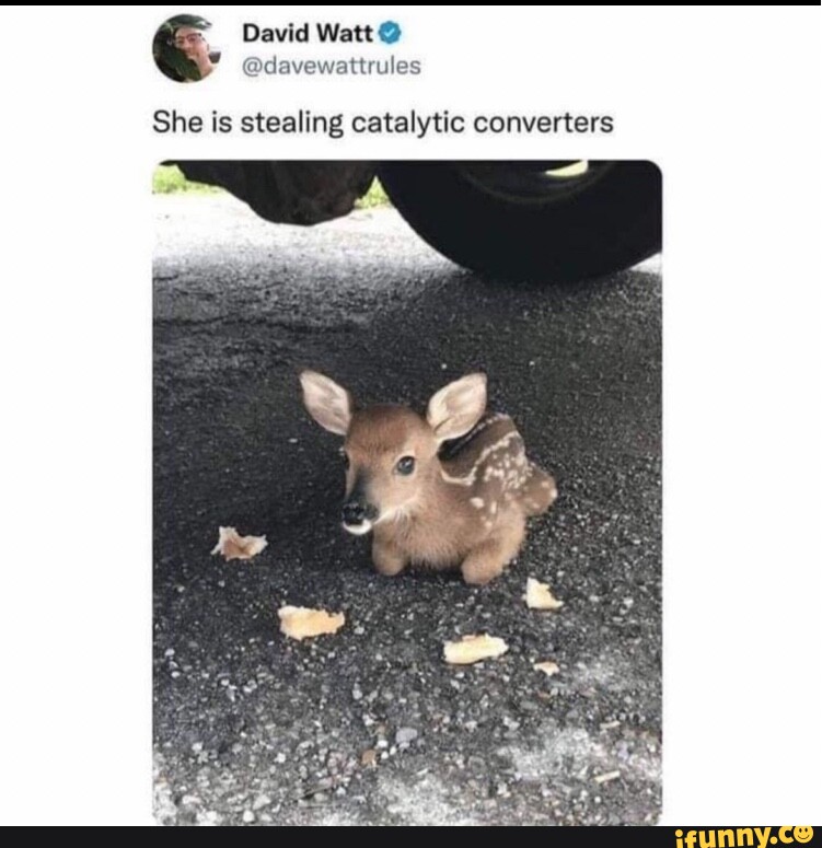 Fawn memes. Best Collection of funny Fawn pictures on iFunny