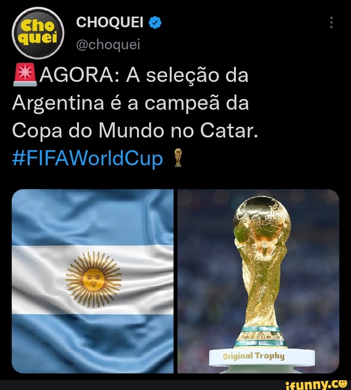 Choquei Choquei Agora A Seleção Da Argentina é A Campeã Da Copa Do