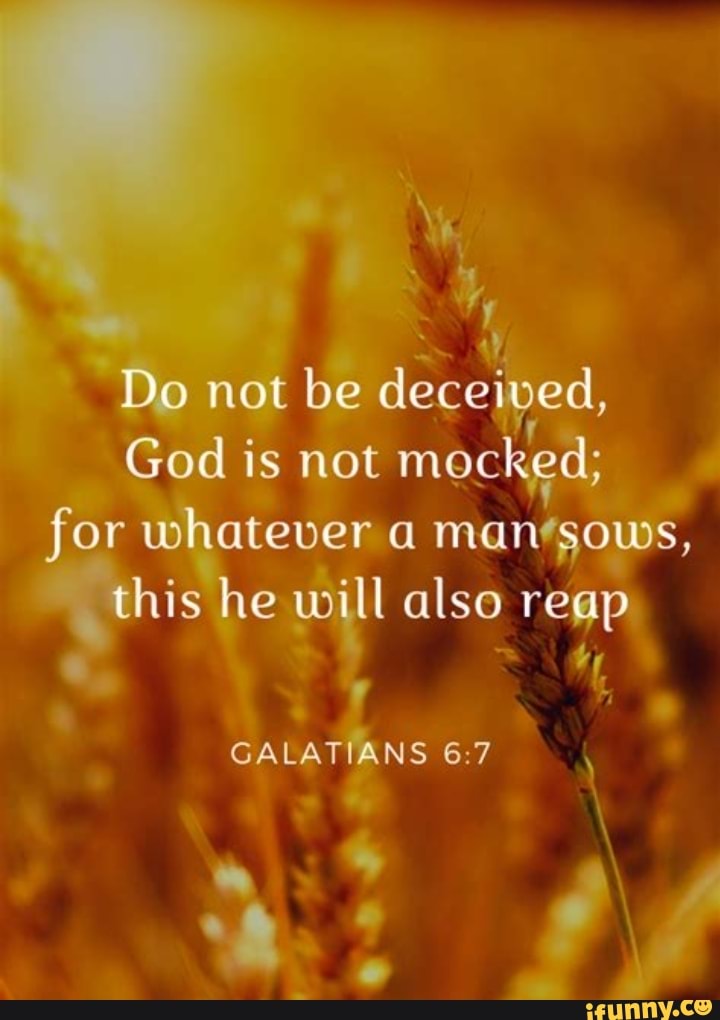 Do not be deceived, God is not mocked; for whatever a mam sows, this he ...