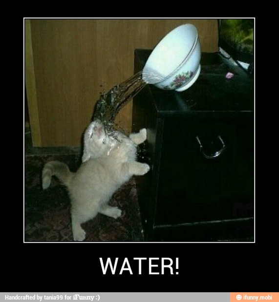 WATER! - WATER!