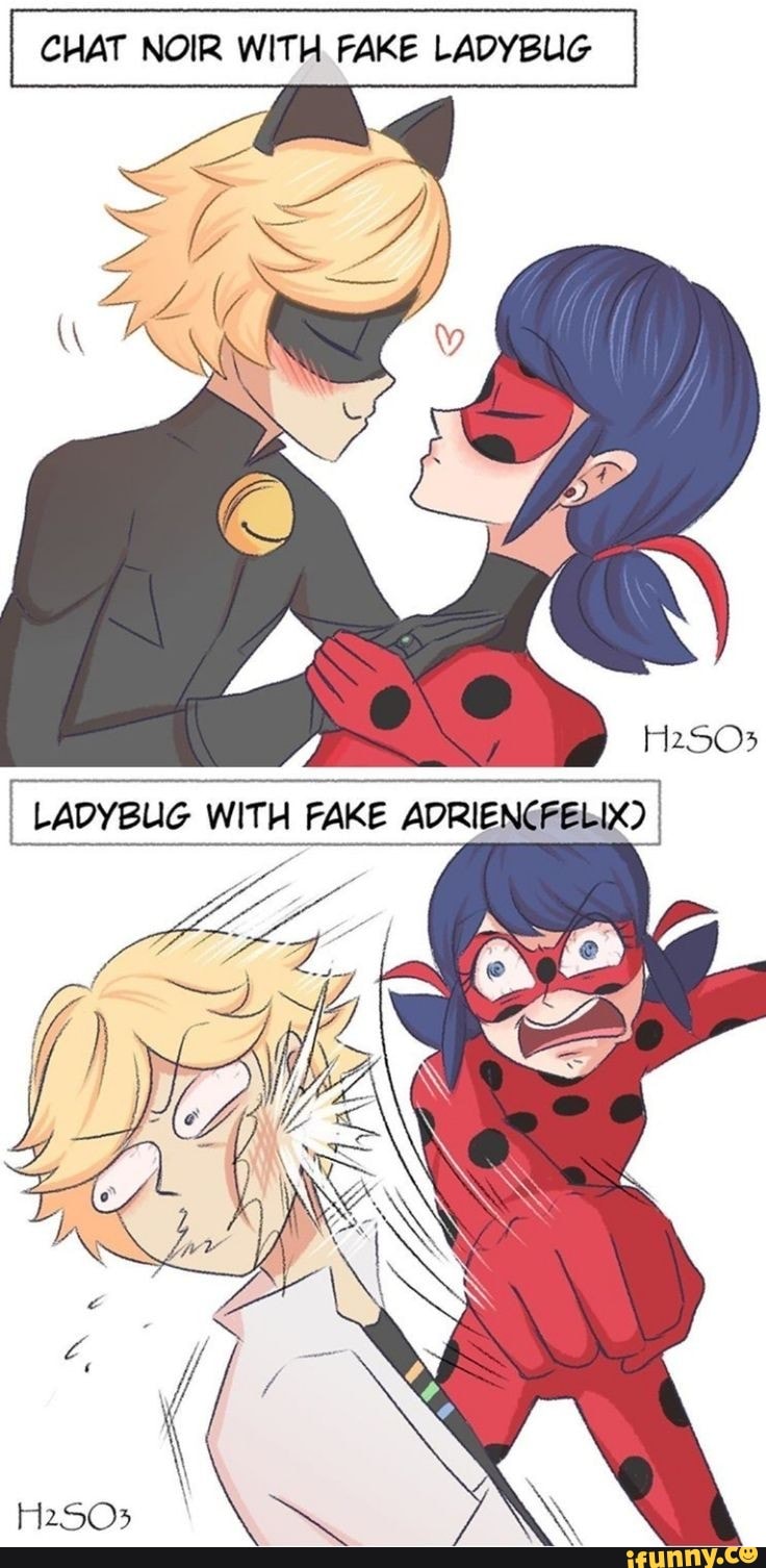 CHAT NOIR WITH FAKE LADYBLIG LADYBLIG WITH FAKE ADRIENÉFE , ) - iFunny