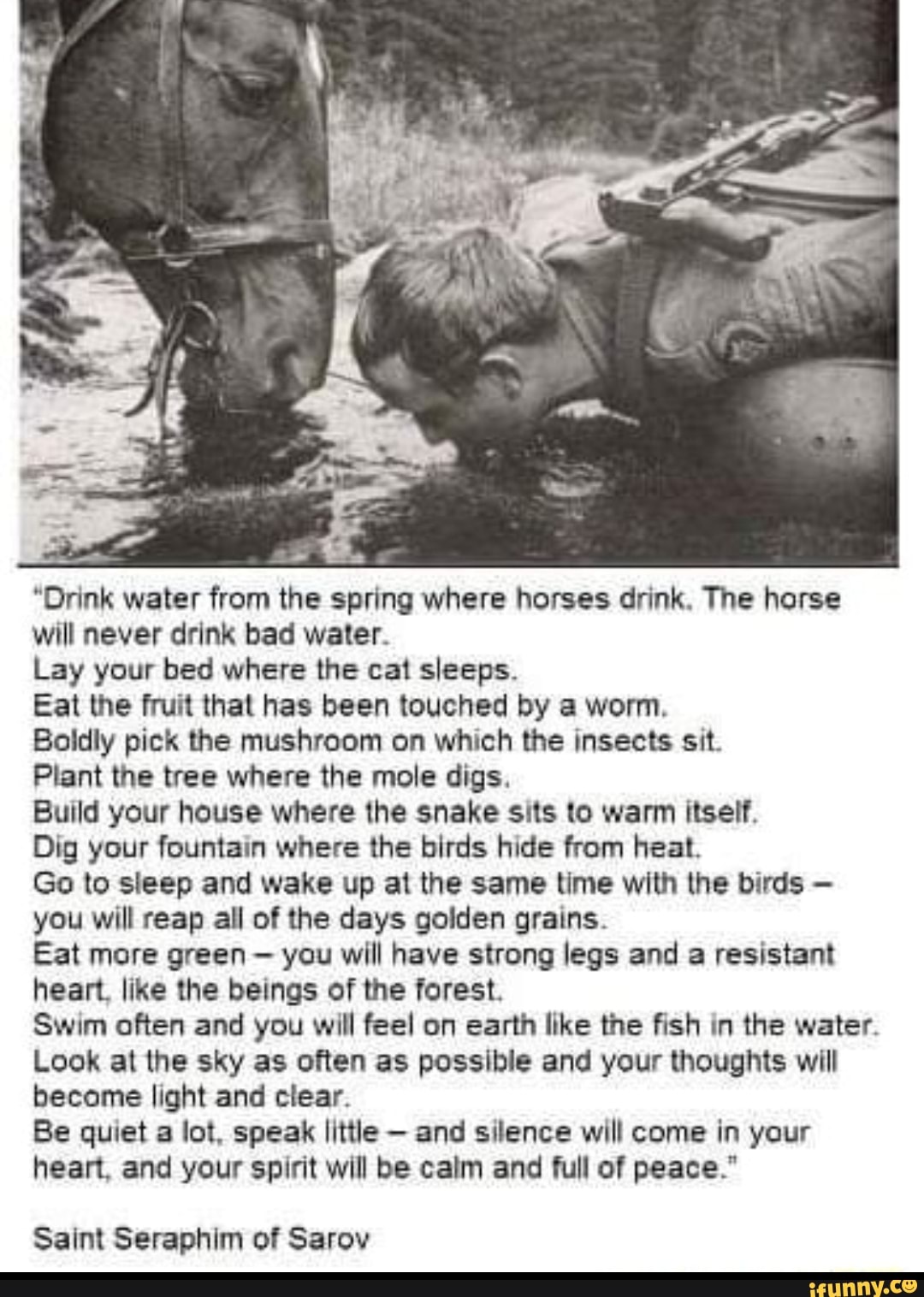 "Drink water from the spring where horses drink. The horse will never