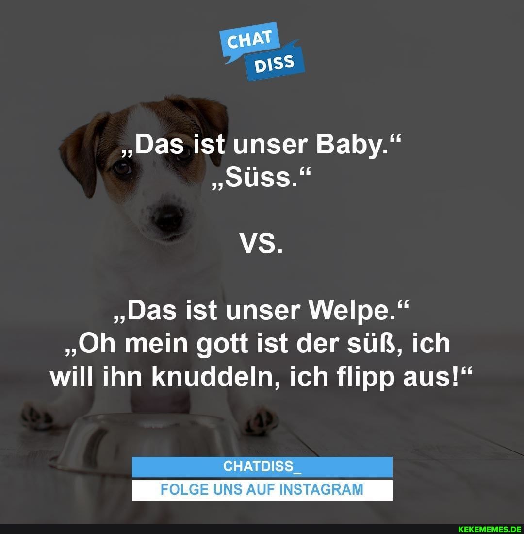 "Das ist unser Baby."
"Süss."
"Das ist unser Welpe."
"Oh mein gott ist der süß, ich will ihn knuddeln, ich flipp aus!"
CHATDISS_
FOLGE UNS AUF INSTAGRAM