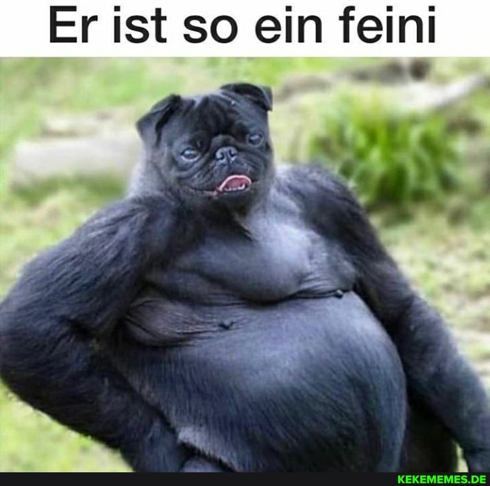 Er ist so ein feini