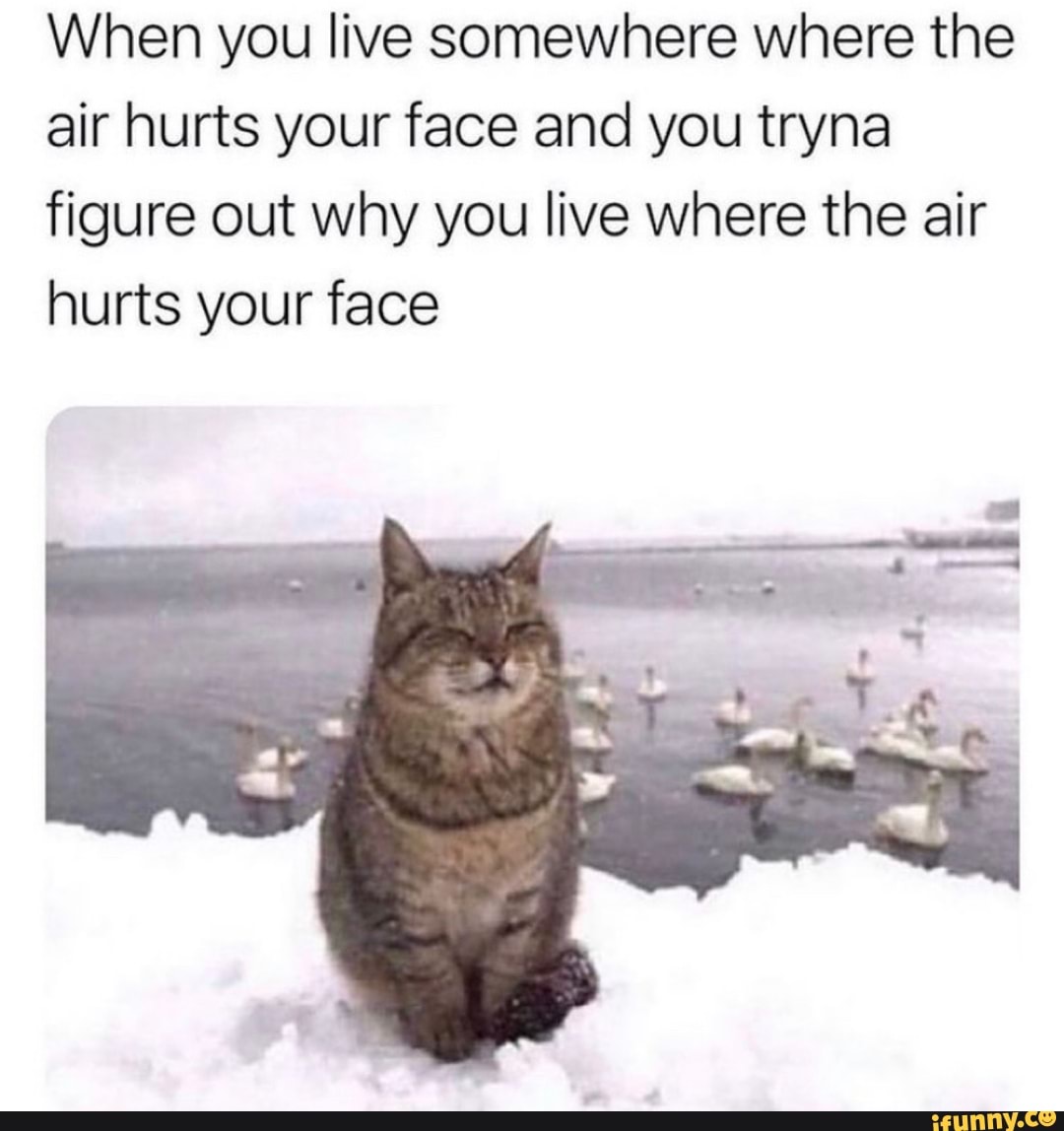 When you live somewhere where the air hurts your face and you tryna