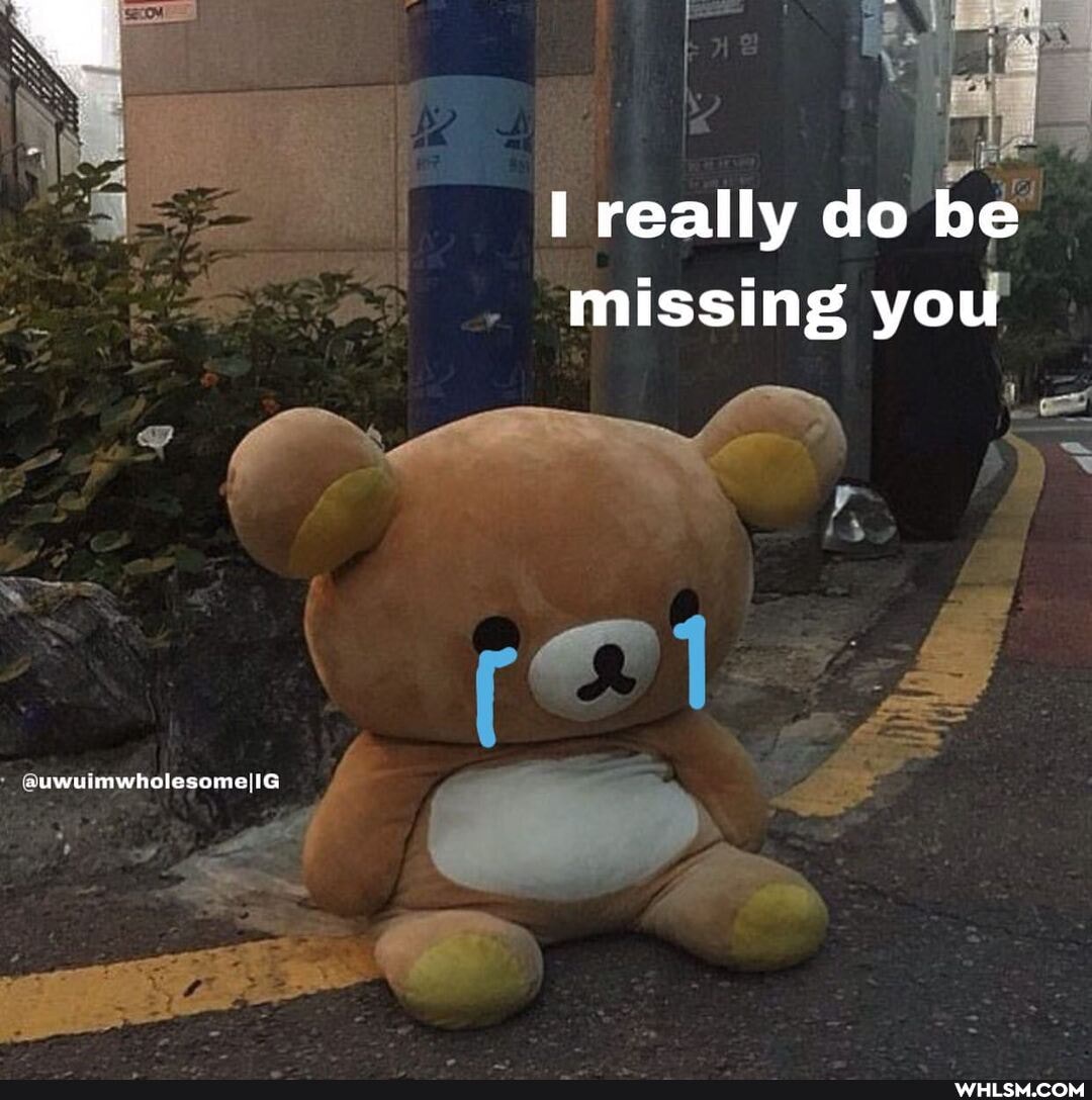really do be missing you
suwuimwholesome IG
