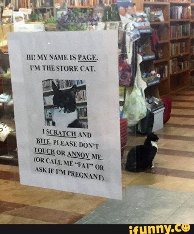 MY NAME IS PAGE.
VM THE STORE CAT.
'SCRATCH AND BITE PLEASE DoN*y
TOUCH OR ANNOY ME,
COR CALL ME ASKIF (OR IPM CALL PREGN, ME ANT)
