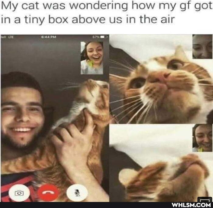 My cat was wondering how my gf got in a tiny box above us in the air