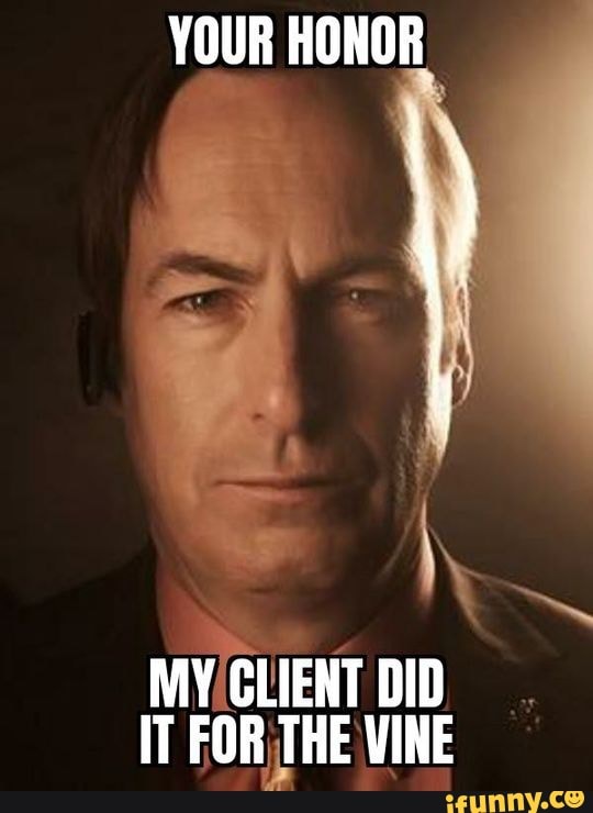 Your Honor My Client Did It For The Vine