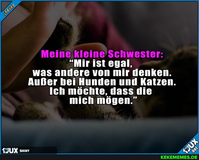 "Mir ist egal, was andere von mir denken.
Außer bei Hunden und Katzen.
Ich möchte, dass die mich mögen."