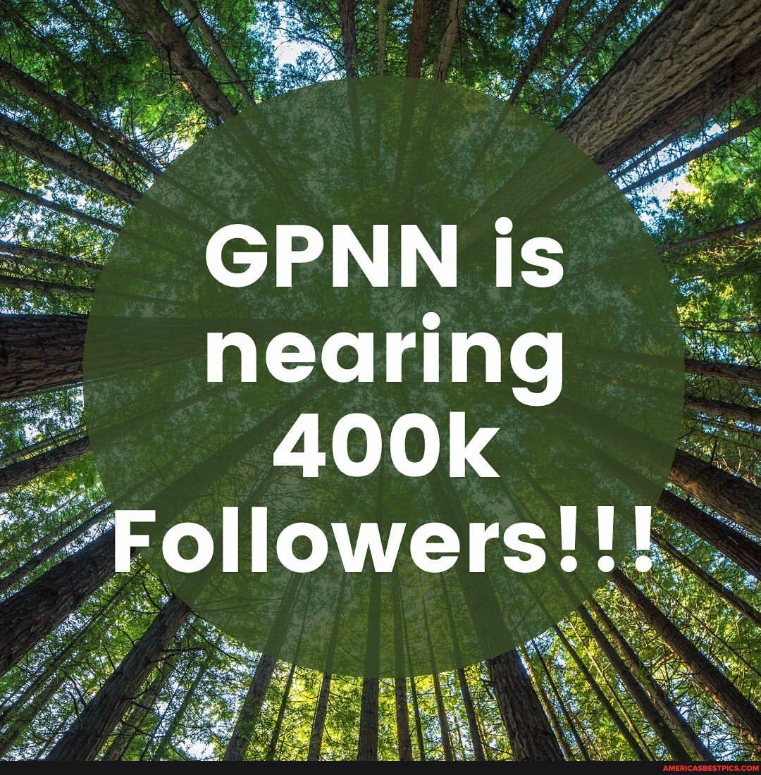 nearing
400k
Followers!!!
