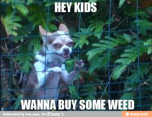 AN E, HEY KIDS
WANNA BUY SOME WEED
