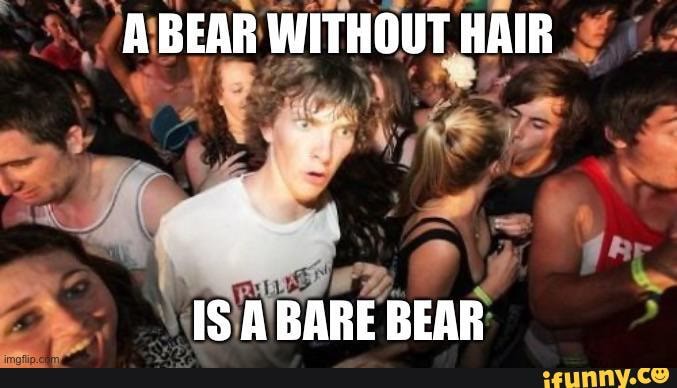 A BEAR WITHOUT HAIR IS A BARE BEAR 