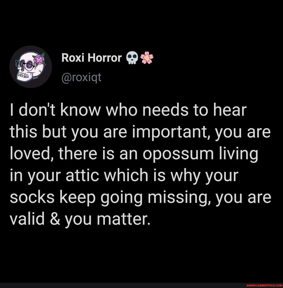 I don't know who needs to hear this but you are important, you are loved, there is an opossum living in your attic which is why your socks keep going missing, you are valid & you matter.
