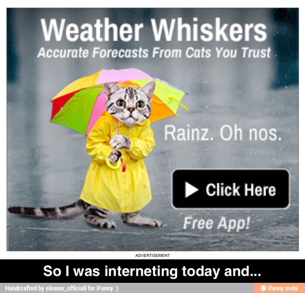 So I was interneting today and - So I was interneting today and...