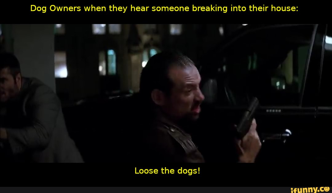 Dog Owners when they hear someone breaking into their house:
