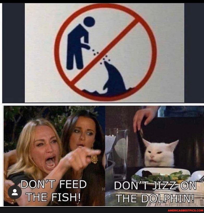 DON'T FEED DON'T ON
THE FISH! PHE DOLPHIN!