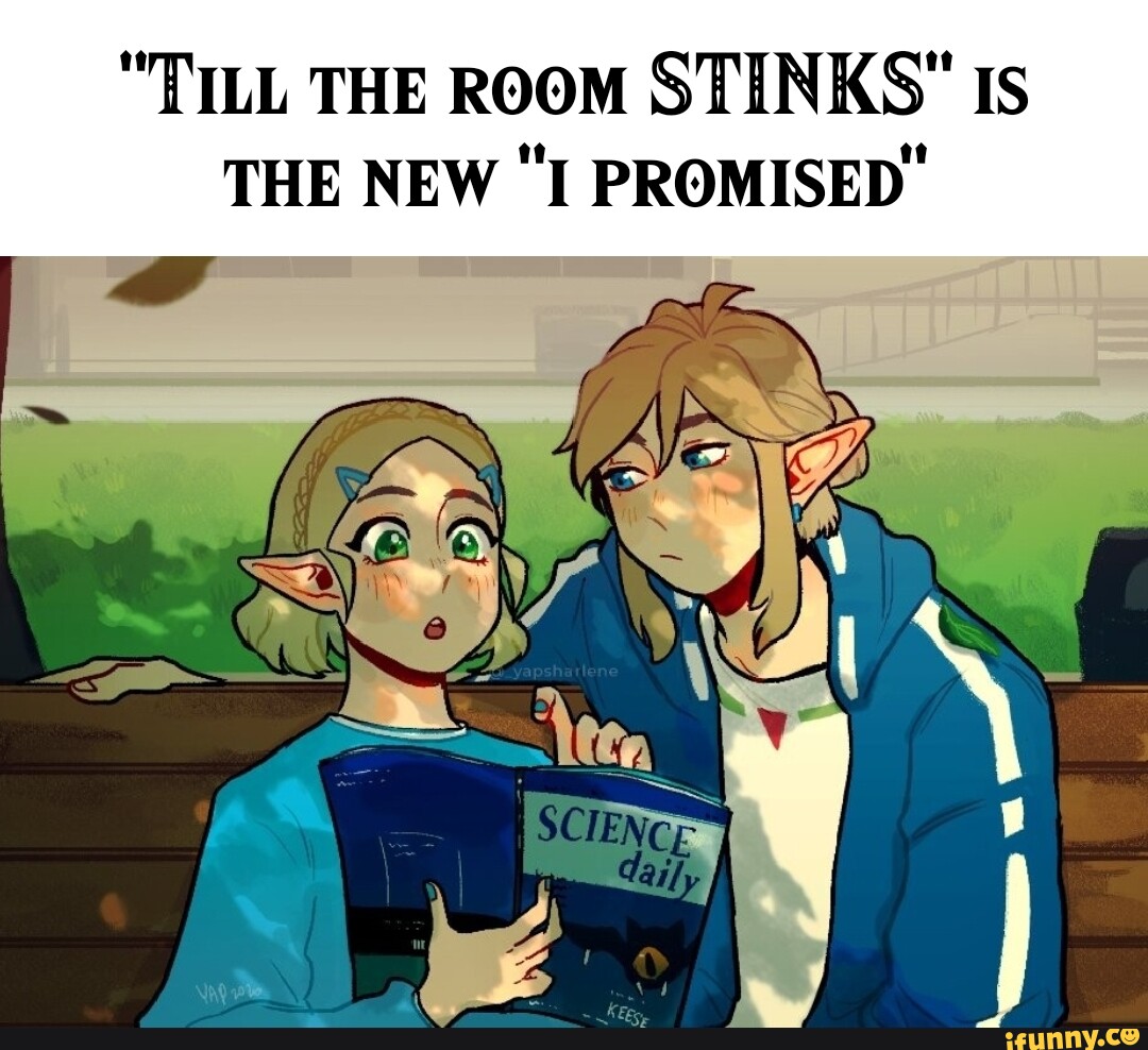 "TILL THE ROOM STINKS" Is THE NEW "I PROMISED' iFunny