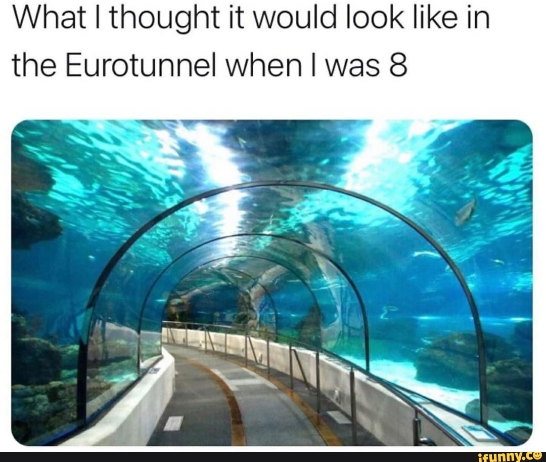 eurotunnel-memes-best-collection-of-funny-eurotunnel-pictures-on-ifunny