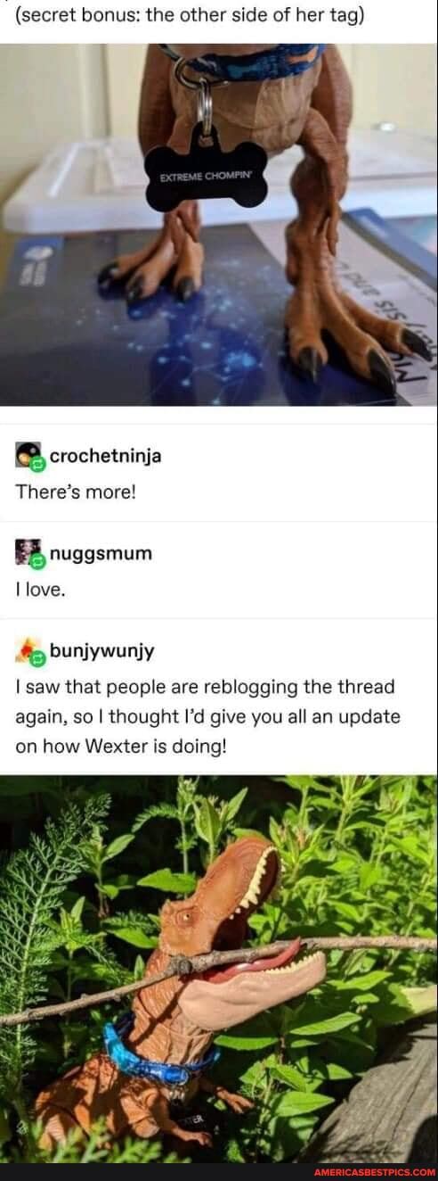 (secret bonus: the other side of her tag)
crochetninja
There's more!
BB,
love.
Ga
bunjywunjy
I saw that people are reblogging the thread again, so I thought I'd give you all an update on how Wexter is doing!