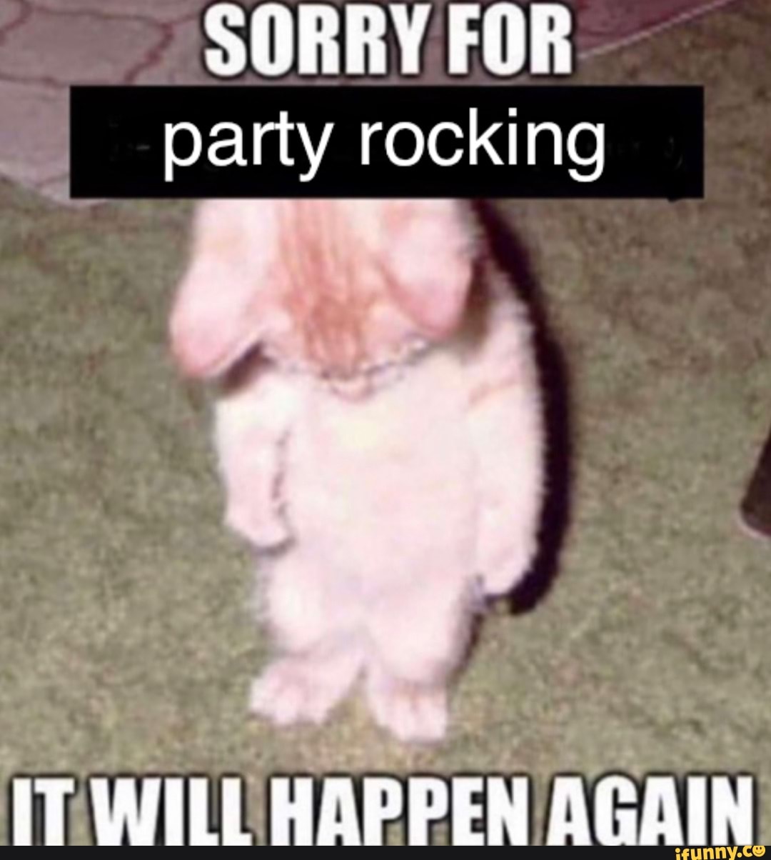 SORRY party rocking IT WILL HAPPEN AGAIN - iFunny