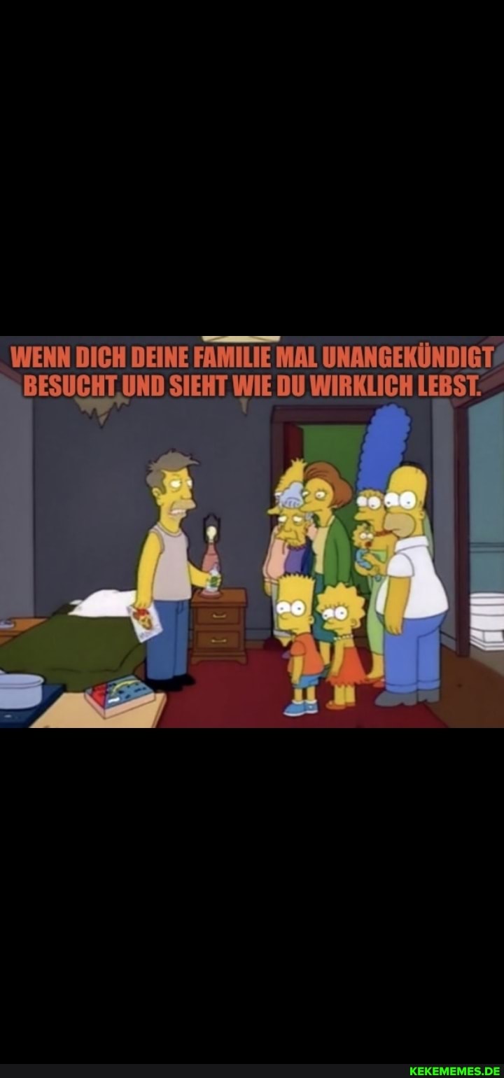 WENN DICH DEINE FAMILIE MAL UNANGEKÜNDIGT BESUCHT UND SIEHT. WIE DU WIRKLICH LEBST.