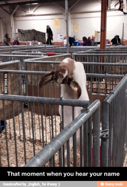 That moment when you hear your name