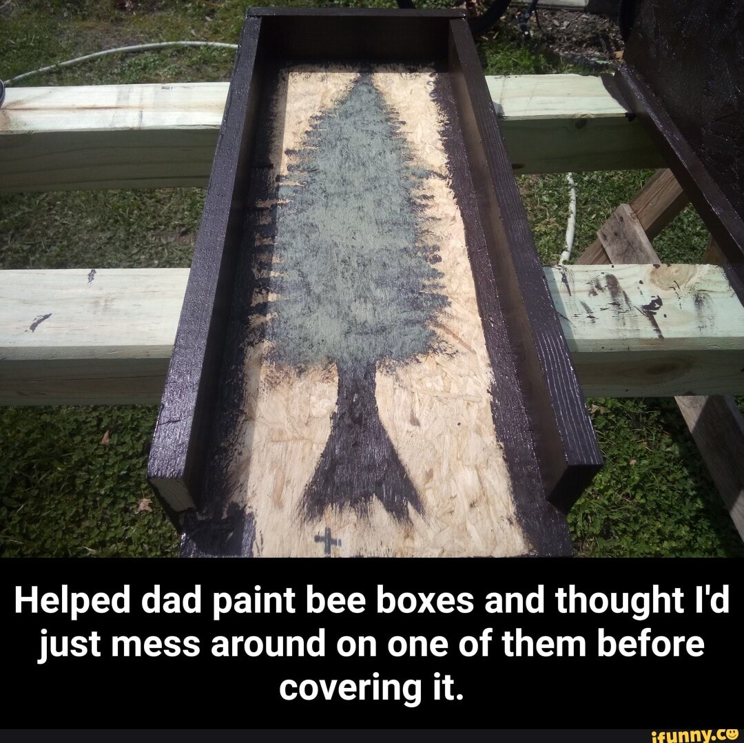 Helped dad paint bee boxes and thought I'd
just mess around on one of them before
covering it. - Helped dad paint bee boxes and thought I'd just mess around on one of them before covering it.