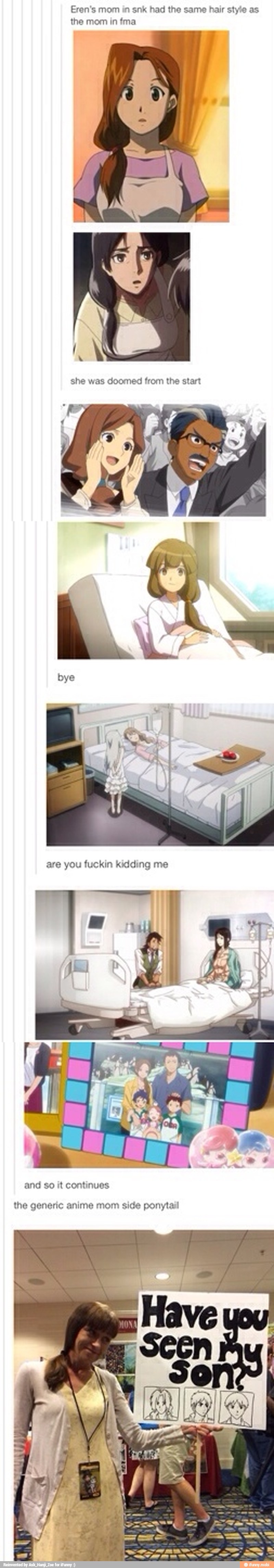 Eren's mom in snk had the same hair style as
the mom in fma