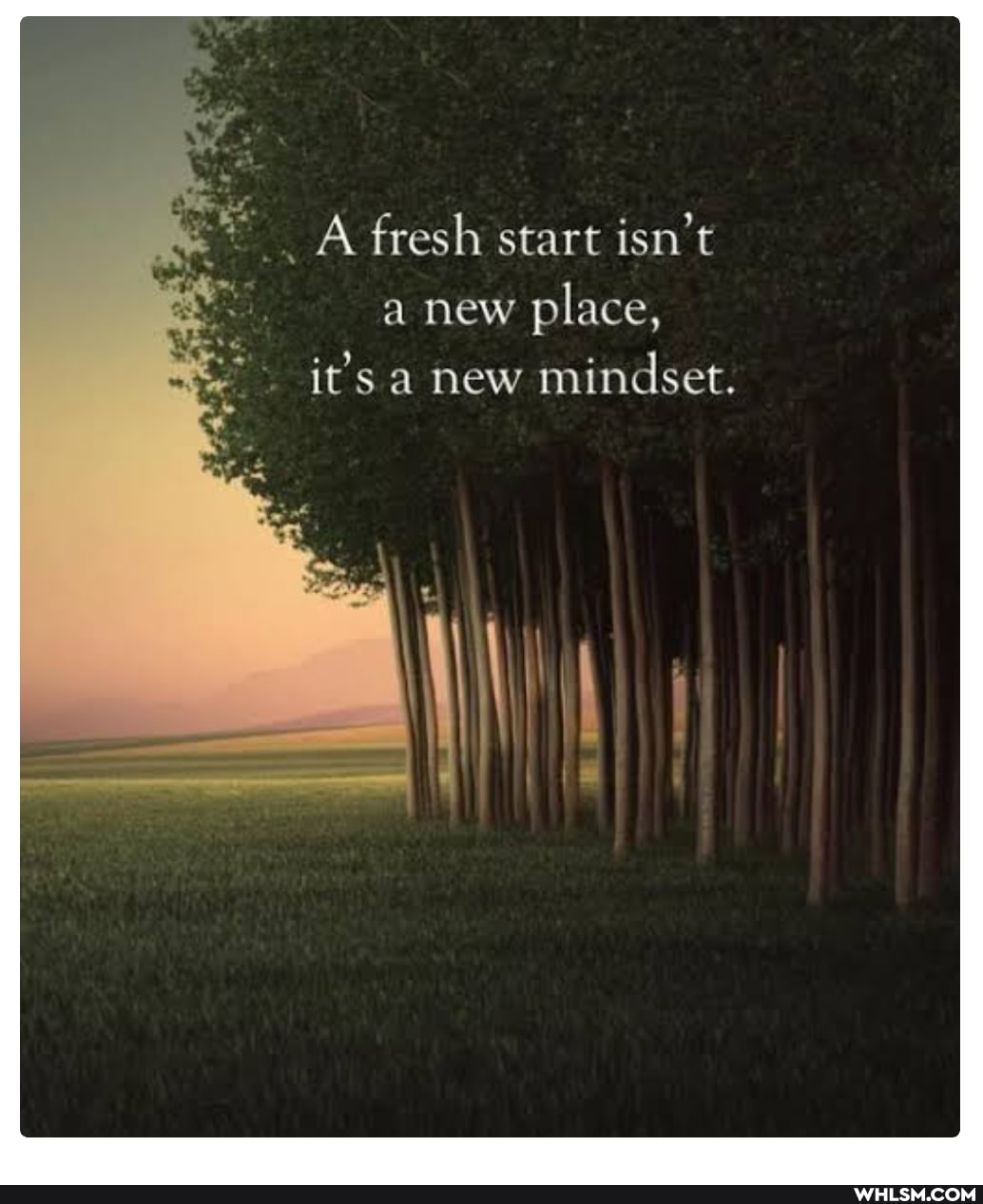 _A fresh start isn't a new place,
it's a new mindset.