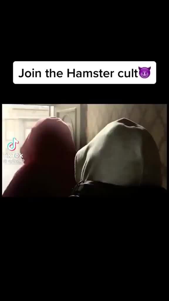上 hamster cult 146872-Hamster cult