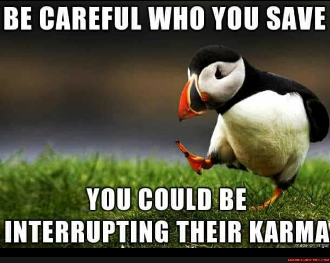 BE CAREFUL WHO YOU SAVE
YOU COULD BE INTERRUPTING THEIR KARMA