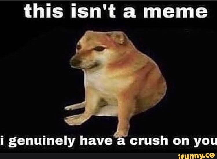 This isn't a meme genuinely have a crush on you iFunny