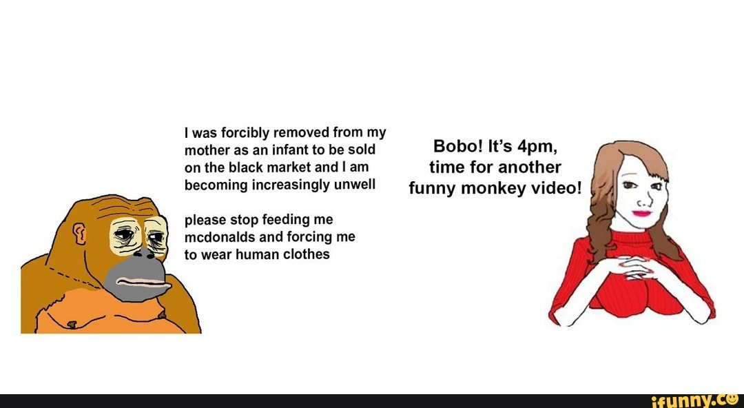 I was forcibly removed from my
mother as an infant to be sold Bobo! It's 4pm,
on the black market and I am time for another
becoming increasingly unwell funny monkey video!
please stop feeding me
mcdonalds and forcing me
to wear human clothes