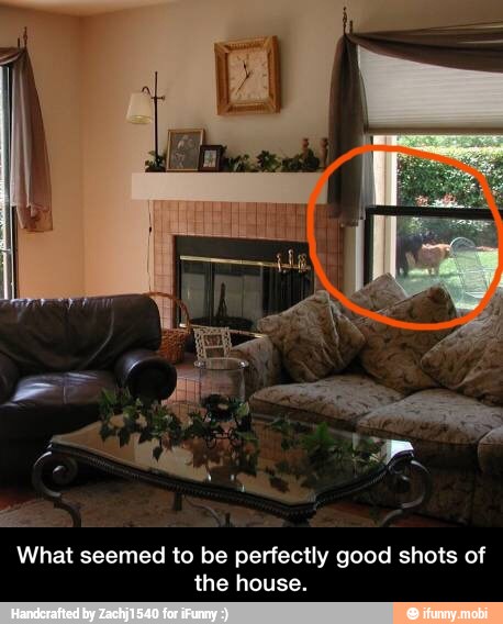 What seemed to be perfectly good shots of
the house. - What seemed to be perfectly good shots of the house.