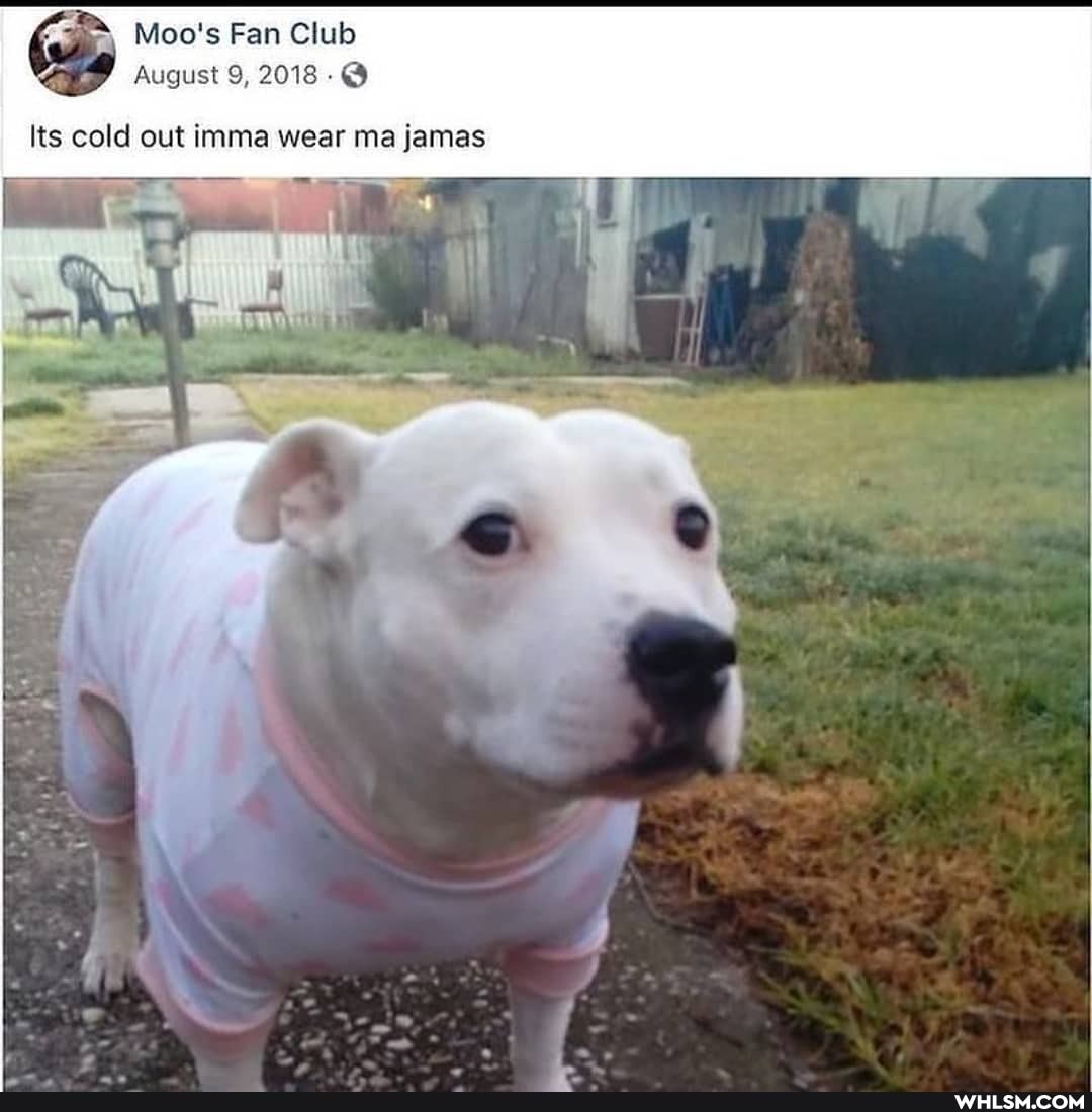 Moo's Fan Club
August 9, 2018
Its cold out imma wear ma jamas