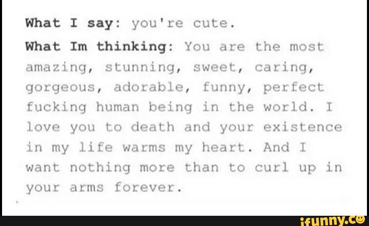 What I say: you're cute.
What Im thinking: You are the most
amazing, stunning, sweet, caring,
gorgeous, adorable, funny, perfect
fucking human being in the world. I
love you ro death and your existence
in my life warms my heart. And I
want nothing more than to curl up in
your arms forever.