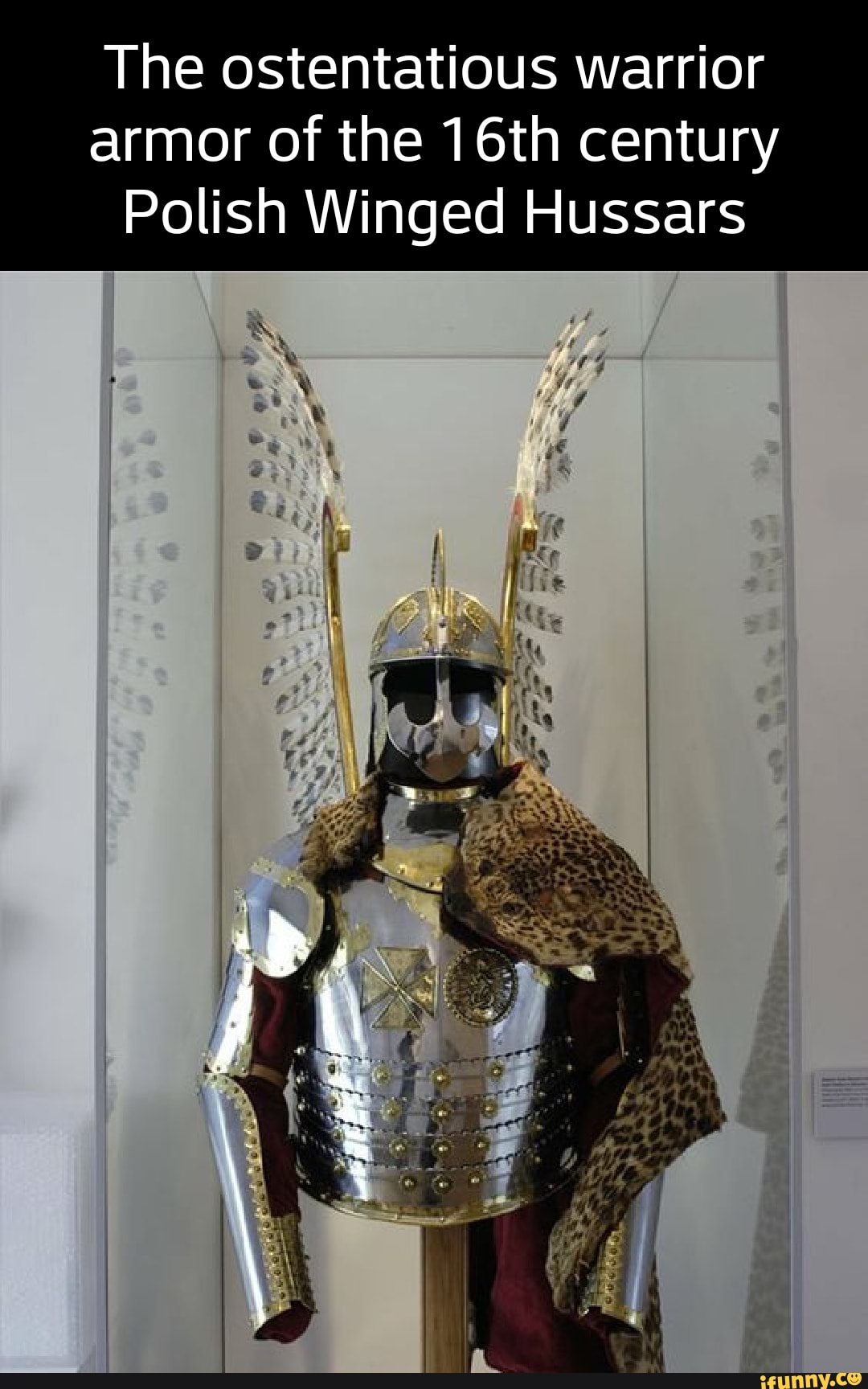 The ostentatious warrior armor of the 16th century Polish Winged