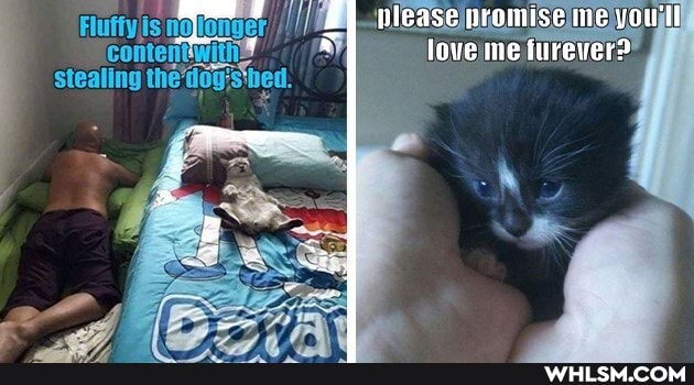 Fluffyjis no)
Stealing
lease promise me you'll
' love ine firever?