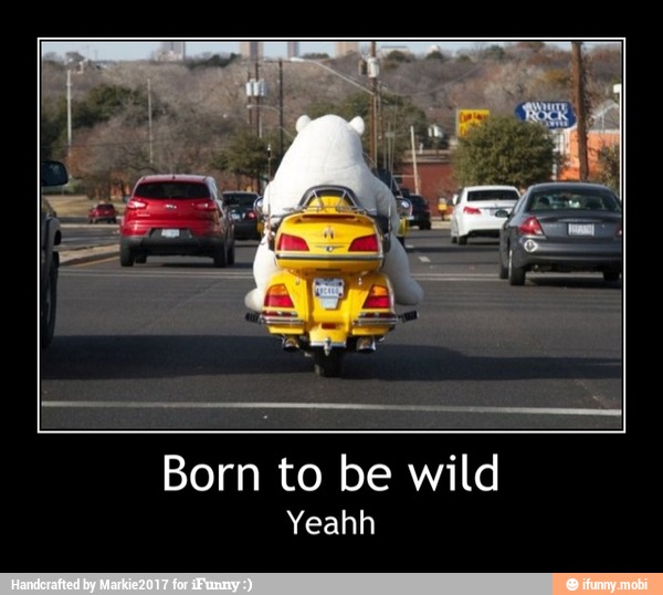Born to be wild
Yeahh - Born to be wild
Yeahh