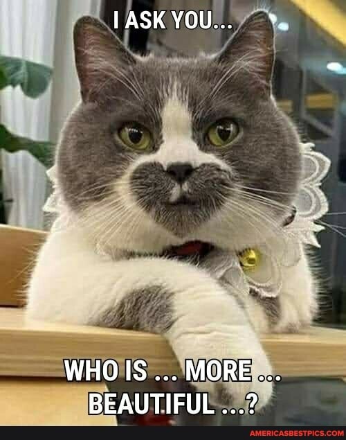 IASK YOU...
WHOIS MORE BEAUTIFUL